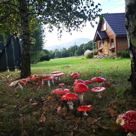 Domek Na Kamiencu Wilkowice Eksteriør billede